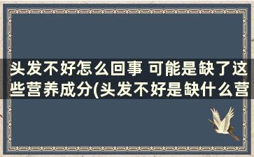 头发不好怎么回事 可能是缺了这些营养成分(头发不好是缺什么营养)